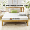 How Much Is A Queen Mattress in Virginia : JMD furniture