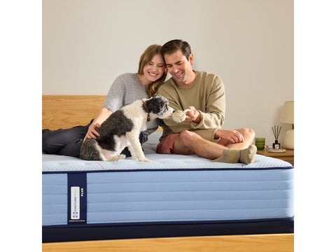 Sealy Posturepedic® Plus Ellie Lane Ultra Firm Queen Mattress