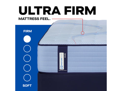 Sealy Posturepedic® Plus Ellie Lane Ultra Firm Queen Mattress