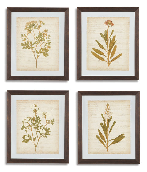 Dyani Wall Art (Set of 4)