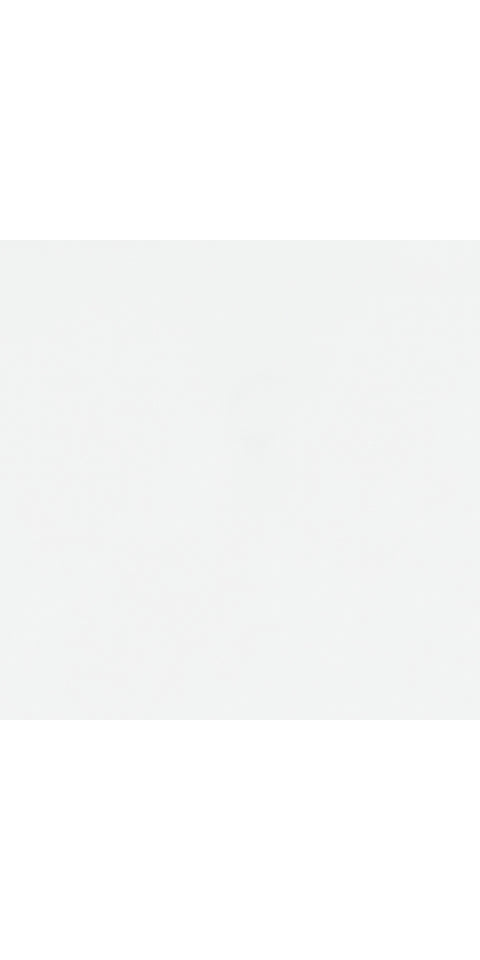 Bostwick Shoals Queen Panel Bed with Mirrored Dresser, Chest and 2 Nightstands