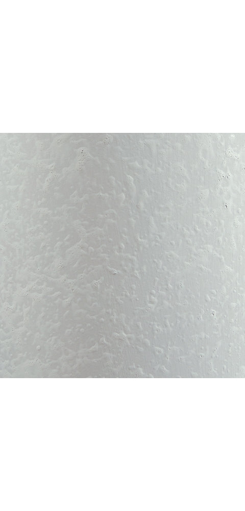 Avianic Table Lamp (Set of 2)