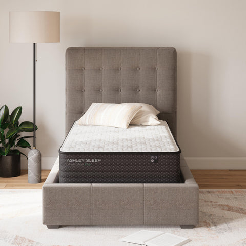 Limited Edition Plush Twin Mattress