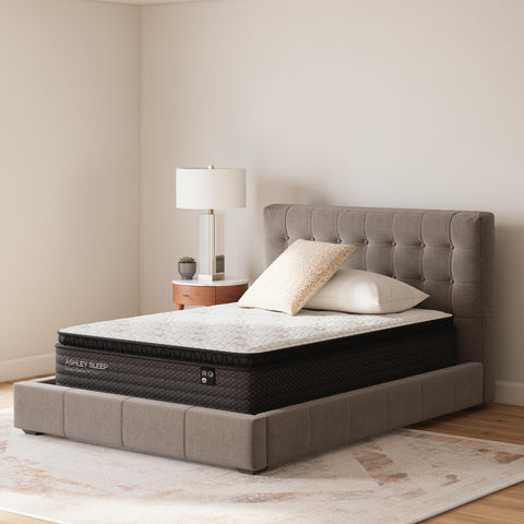 Limited Edition PT Queen Mattress
