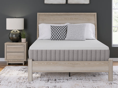 Terra Sleep Medium King Mattress
