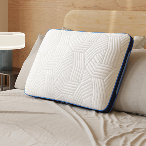 Nectar Premier Queen/King Pillow (4/CS)