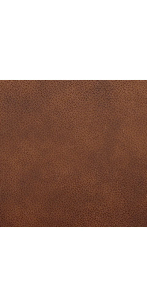 Freyeburg Power Recliner